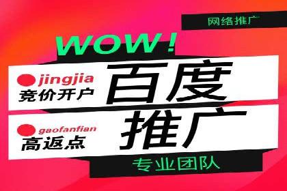 SEO与百度广告的结合：双管齐下的推广案例